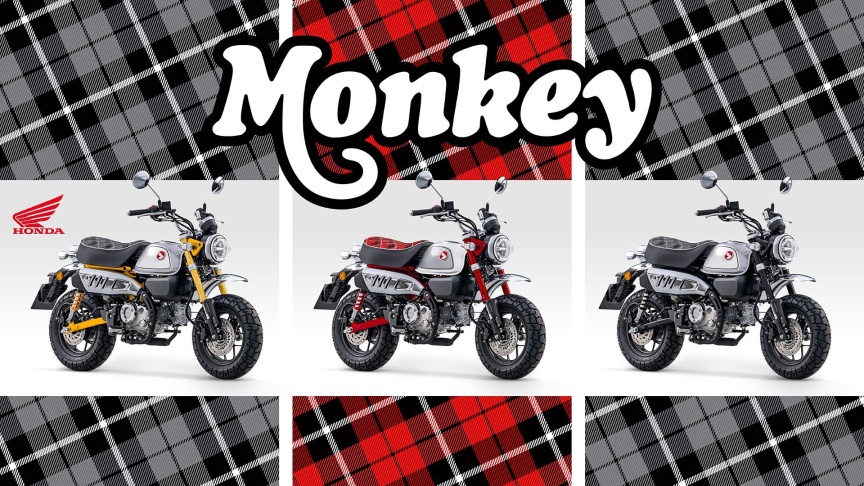 Honda Monkey barvy