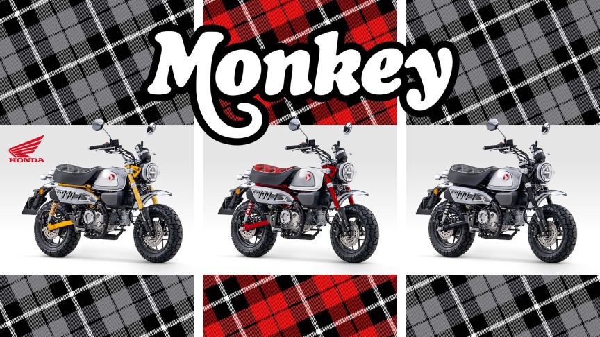 Honda Monkey barvy