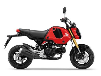 Honda MSX125 Gayety Red