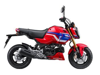 Honda MSX125 Gayety Red